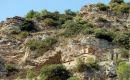 Zdjęcie ALBANIA / Berat / Berat / Ponad Beratem ... - Balkan-Tour 2009
