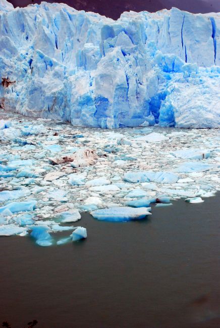 ARGENTYNA / Patagonia  / Santa Cruz / duzo niebieskiego lodu 