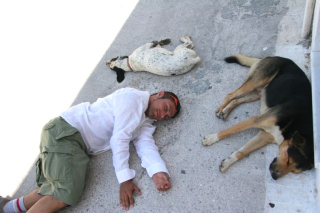 Zdj�cia: Santorini, brak, "Warto odpocz�� przy �ubrze",ale jak nie ma....to wystarczy pies, GRECJA