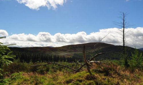 IRLANDIA / - / Irlandia Góry Wicklow / Na szlaku