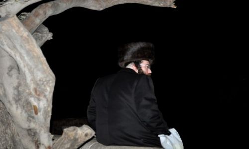 IZRAEL / - / Jerozolima / �YD