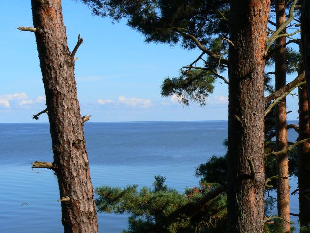 Zdjęcia: Nida, Mierzeja Kurońska, Widok na zatokę Kurońską z chaty Tomasza Manna (niemieckiego noblisty, LITWA Zdjęcia: Nida, Mierzeja Kurońska, Widok na zatokę Kurońską z chaty Tomasza Manna (niemieckiego noblisty, LITWA