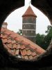 Zdj�cie LITWA / brak / Rauda� / Zamek Gie�gud�w (Panemune)