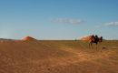 Zdjecie MONGOLIA / brak / gobi / gobi