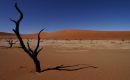 Zdj�cie NAMIBIA / Pustynia Namib / Sossusvlei / Dead Vlei