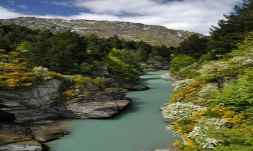 Zdj�cie NOWA ZELANDIA / brak / Queenstown / wyspa polodniowa / rzeka
