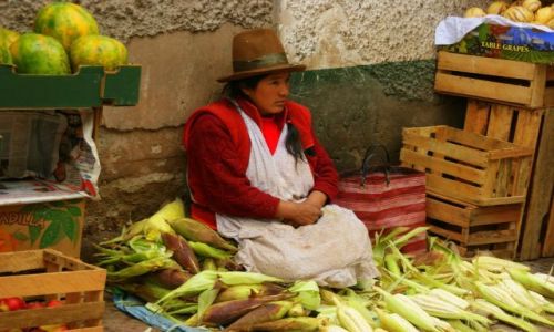 PERU / Cuzco / Cuzco / Kukurydza