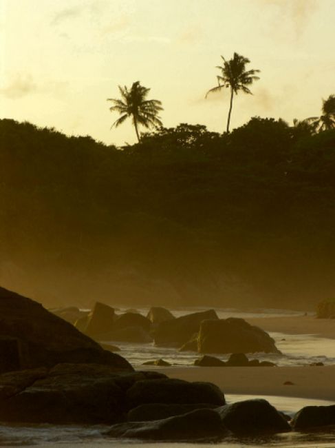 SRI LANKA / Induruwa Beach / p�d.zach cz.kraju / listopad na Sri Lance