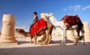 SYRIA / Tadmor / Palmyra / W oczekiwaniu na turyst�w ...