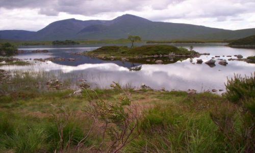 Zdjecie SZKOCJA / ok Los Ness / Grampian Mts. / Tak w�a�nie wyo
