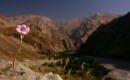 TAD�YKISTAN / Pamir / Dolina Piand�u / megaPrzygoda.pl_mg_6402