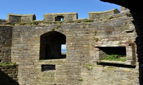 WALIA / - / Caernarfon / Caernarfon 