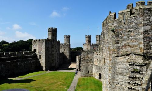 WALIA / - / Caernarfon / Caernarfon