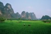 Okolice Yangshua, Guangxi