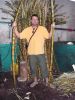 piotr@advertus.pl