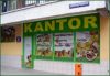 kantor oliborz