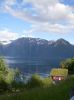 kasiafish