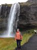 Dorfus