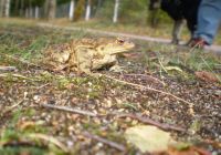 Karolina82szczecinek