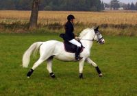 eNIKa