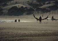 martin_kite
