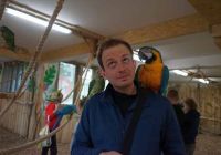 [fb] Mateusz Palim�ka