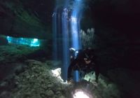Longimanus