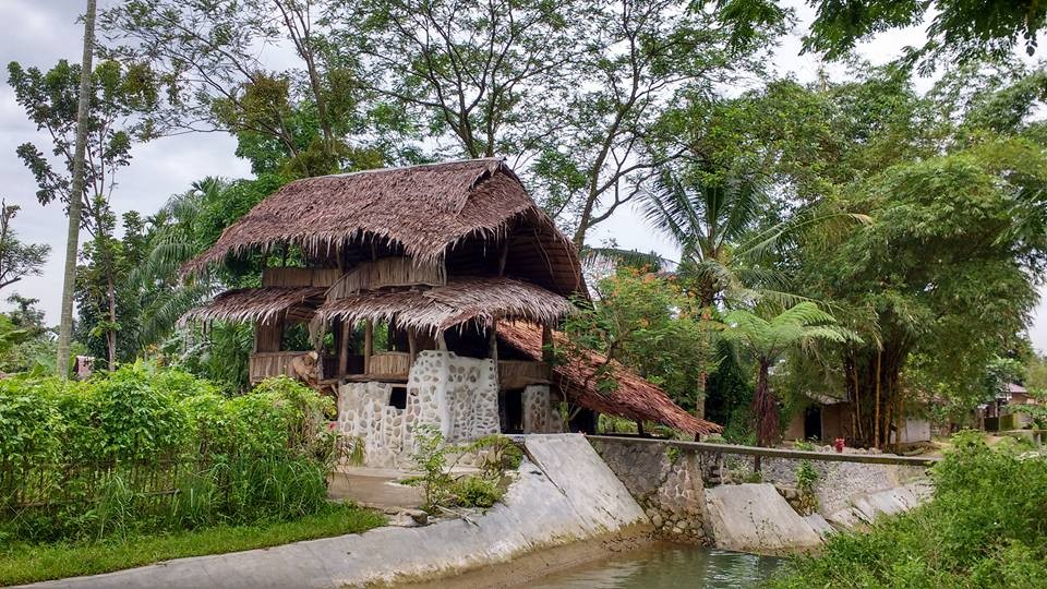 Zdjęcia: Bukit lawang, Sumatra, biała bez mleka, INDONEZJA Zdjęcia: Bukit lawang, Sumatra, biała bez mleka, INDONEZJA