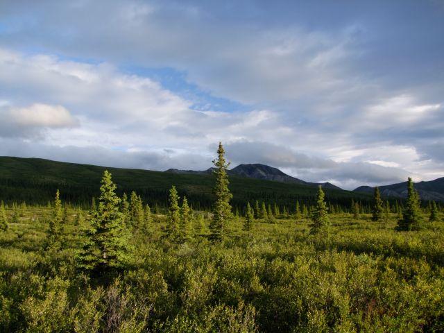 Zdjęcia: Alaska Range / Park Narodowy Denali, Gory Alaska 4, ALASKA Zdjęcia: Alaska Range / Park Narodowy Denali, Gory Alaska 4, ALASKA