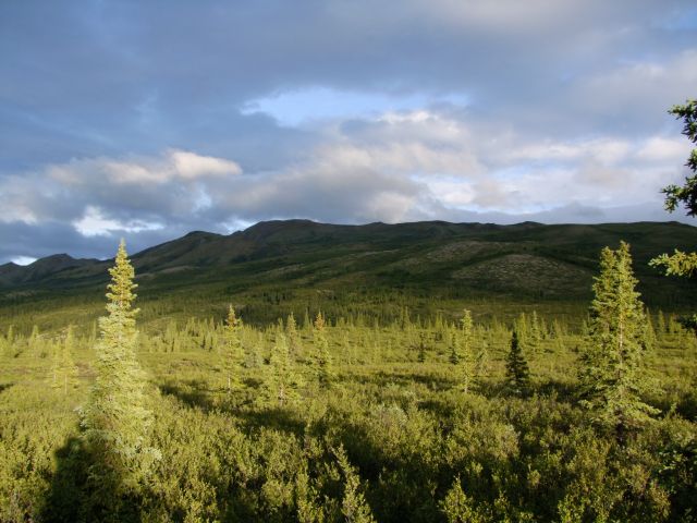 Zdjęcia: Alaska Range / Park Narodowy Denali, Gory Alaska 5, ALASKA Zdjęcia: Alaska Range / Park Narodowy Denali, Gory Alaska 5, ALASKA