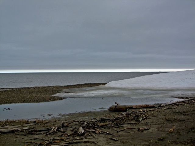 Zdjęcia: North Slope / Ocean Arktyczny / Morze Beauforta, Ocean Arktyczny, ALASKA Zdjęcia: North Slope / Ocean Arktyczny / Morze Beauforta, Ocean Arktyczny, ALASKA