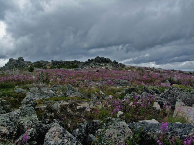 Zdjęcia: Alaska / Yukon–Koyukuk Area, Finger Mountain, ALASKA Zdjęcia: Alaska / Yukon–Koyukuk Area, Finger Mountain, ALASKA