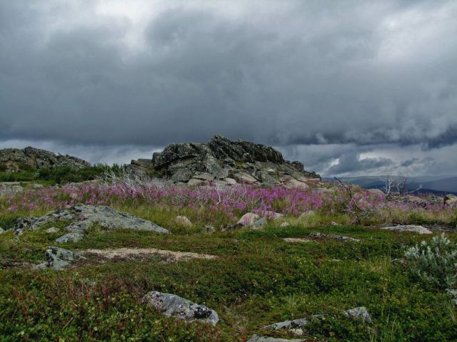 Zdjęcia: Alaska / Yukon–Koyukuk Area, Finger Mountain 2, ALASKA Zdjęcia: Alaska / Yukon–Koyukuk Area, Finger Mountain 2, ALASKA