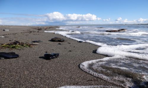 Zdjecie ALASKA / Kenai / Inlet Cook / Alaska