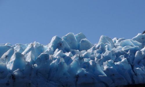 Zdjecie ALASKA / Pwysep Kenai / Portage Glacier / Konkurs
