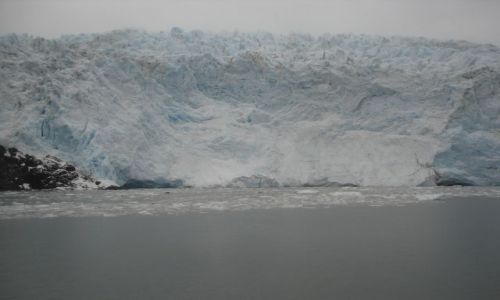 Zdjecie ALASKA / brak / Kenai Fjords Nat'l. Park / Glacier