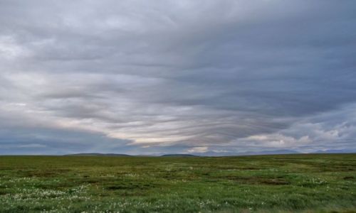 ALASKA / - / Alaska / North Slope  / tundra