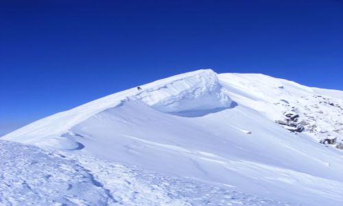 Zdjęcie ALASKA / gdzies w tych okolicach / gran szczytowa Denali / a to serak piekny