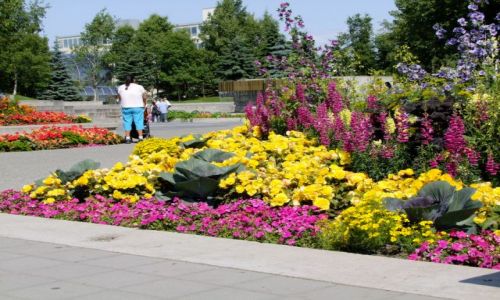 Zdjęcie ALASKA / - / Alaska / Anchorage / fotociekawostka