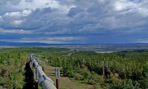 ALASKA / - / Alaska / Dalton Highway / Alaska Pipe Line