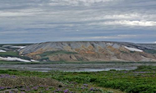 ALASKA / - / Alaska / Dalton Highway / Franklin Bluff