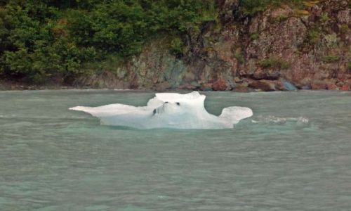Zdjecie ALASKA / - / Polwysep Kenai / statek