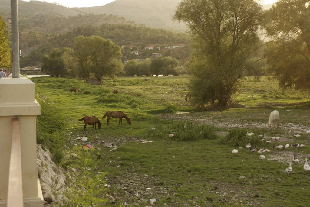Zdjęcia: Szkoder, Bajram Curri, Valbna, północ, albania, ALBANIA Zdjęcia: Szkoder, Bajram Curri, Valbna, północ, albania, ALBANIA