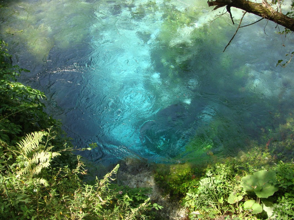 Zdjęcia: park , okolice Sarandy, cudna głębia , ALBANIA Zdjęcia: park , okolice Sarandy, cudna głębia , ALBANIA