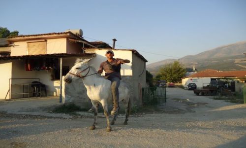 Zdjcie ALBANIA / Gjirokaster / droga Vier-Gjirokaster / Transport osobisty