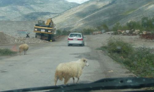 Zdjecie ALBANIA / - / Albania / W trasie