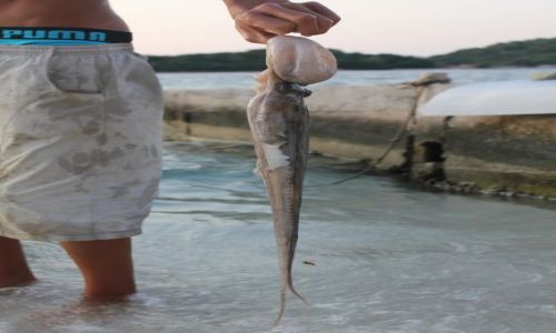 Zdjecie ALBANIA / - / Ksamil / udany pow!