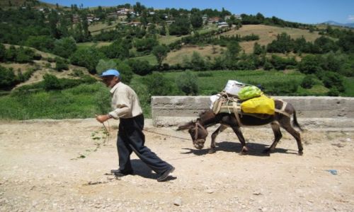 Zdjęcie ALBANIA / Szar Planina / Szar Planina / transport