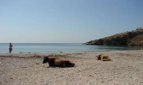 Zdjecie ALBANIA / Himare / okolice Himare / KONKURS plaa strzeona