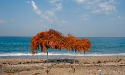 Zdjęcie ALBANIA / - / Lukova / plaża